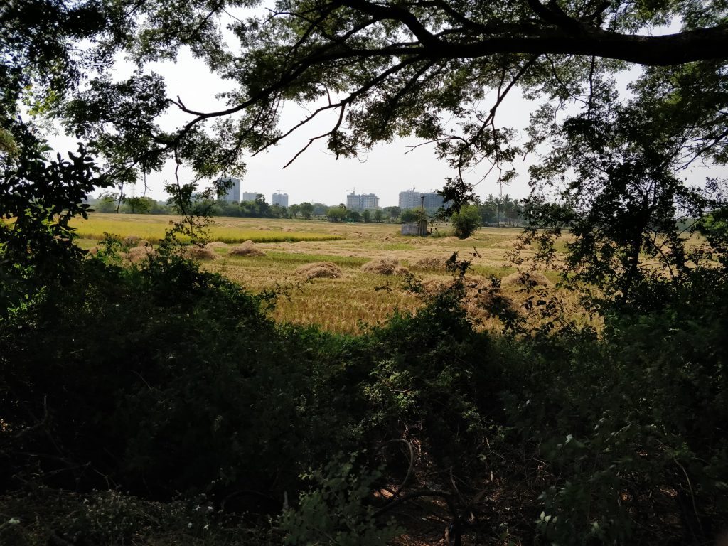 Fields and the building via ECR - Niranjan - Niranninja