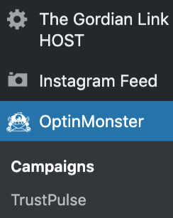 OptinMonster-Announcement bar-WordPress