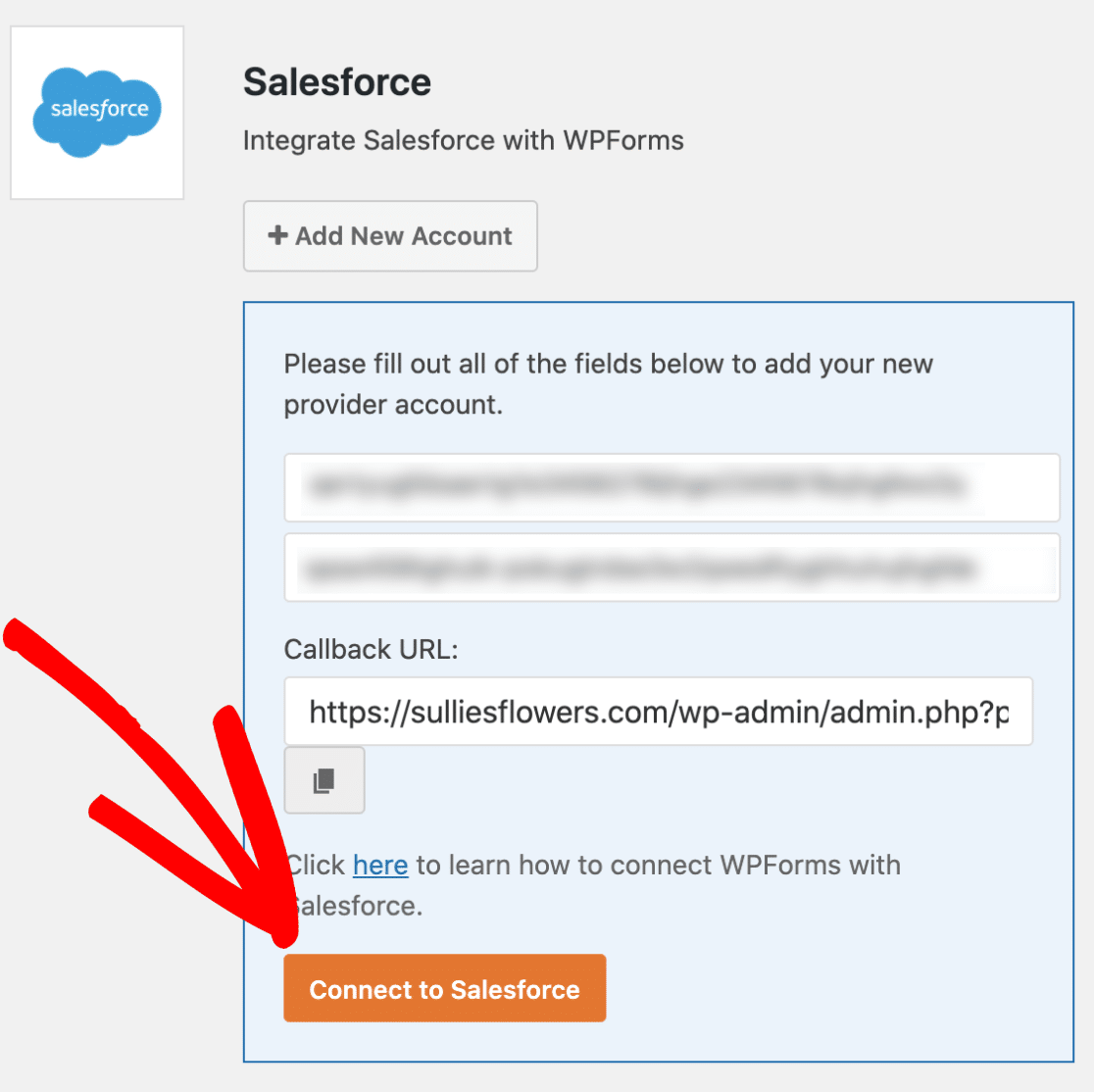 Connect WPForms to Salesforce - niranninja